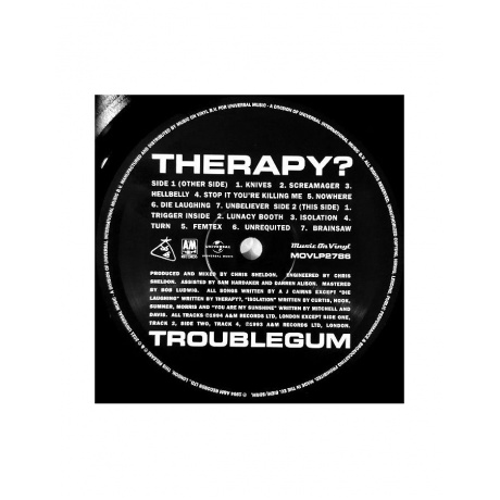 0600753923382, Виниловая пластинка Therapy?, Troublegum - фото 4