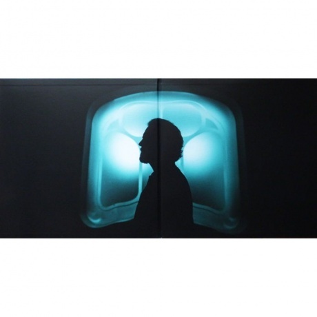 Eddie Vedder - Earthling (0602445254286) виниловая пластинка - фото 2