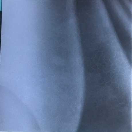 Eddie Vedder - Earthling (0602445254286) виниловая пластинка - фото 12