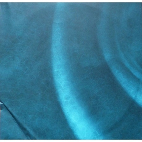 Eddie Vedder - Earthling (0602445254286) виниловая пластинка - фото 6