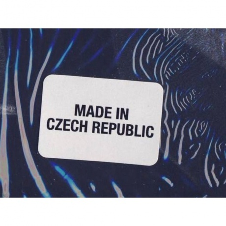 Eddie Vedder - Earthling (0602445254286) виниловая пластинка - фото 8