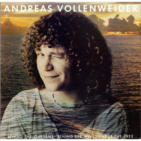 0885513022813, Виниловая пластинка Vollenweider, Andreas, Behind The Gardens - Behind The Wall - Under The Tree - фото 1
