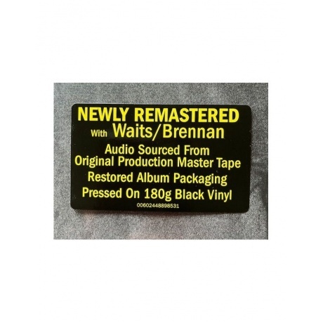 Tom Waits - Rain Dogs (0602448898531) виниловая пластинка - фото 2