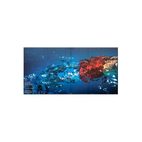 Wright Richard - Wet Dream (Blue Marbled) (5054197662348) виниловая пластинка - фото 8