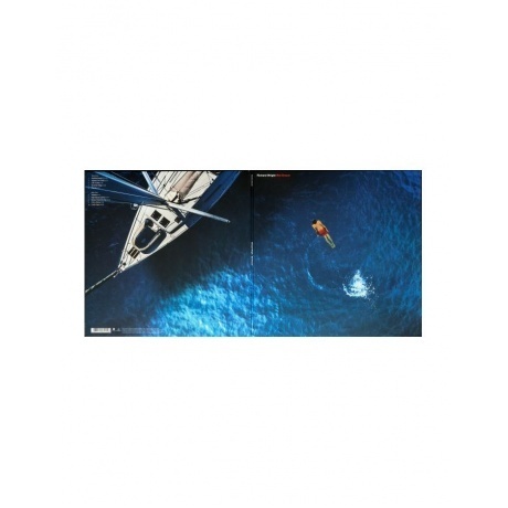 Wright Richard - Wet Dream (Blue Marbled) (5054197662348) виниловая пластинка - фото 9