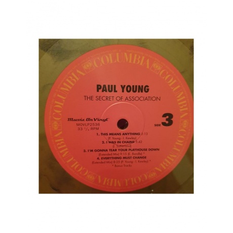 8719262012011, Виниловая пластинка Young, Paul, The Secret Of Association (coloured) - фото 9