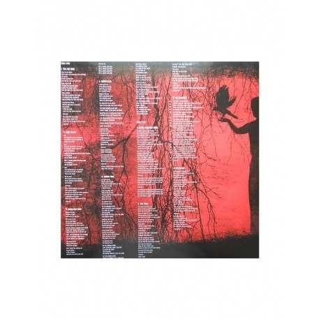 Alter Bridge - Blackbird (0600753426555) виниловая пластинка - фото 3