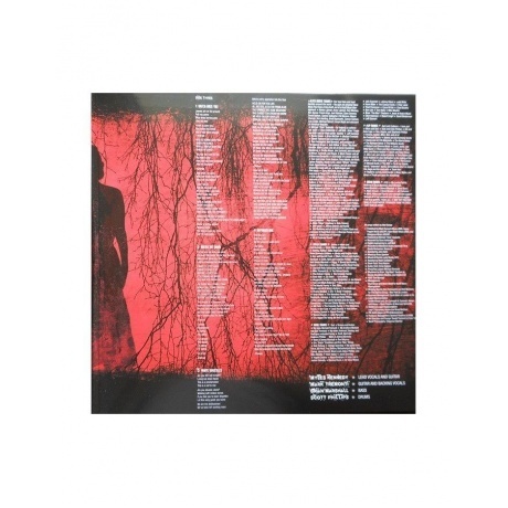 Alter Bridge - Blackbird (0600753426555) виниловая пластинка - фото 4