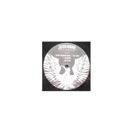 Alter Bridge - Blackbird (0600753426555) виниловая пластинка - фото 6