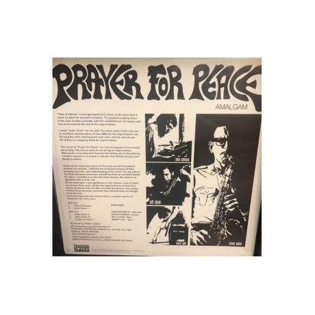 Amalgam - Prayer For Peace (5060672881067) виниловая пластинка - фото 2