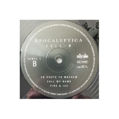 0190296878763, Виниловая пластинка Apocalyptica, Cell-0 - фото 7