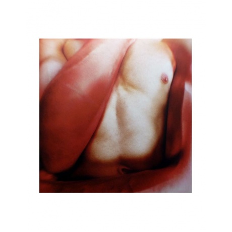 0634904083410, Виниловая пластинка Arca, Arca - фото 15