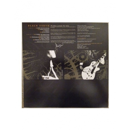 Arch Enemy - Black Earth (0196587931612) виниловая пластинка - фото 6