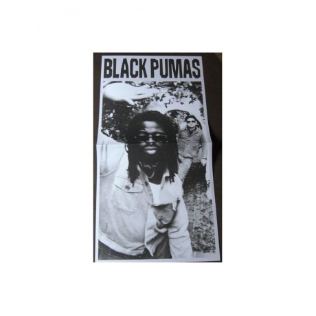 5400863146160, Виниловая пластинка Black Pumas, Chronicles Of A Diamond (coloured) - фото 8