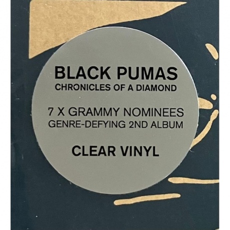 Black Pumas - Chronicles Of A Diamond (coloured) (5400863146160) виниловая пластинка - фото 7
