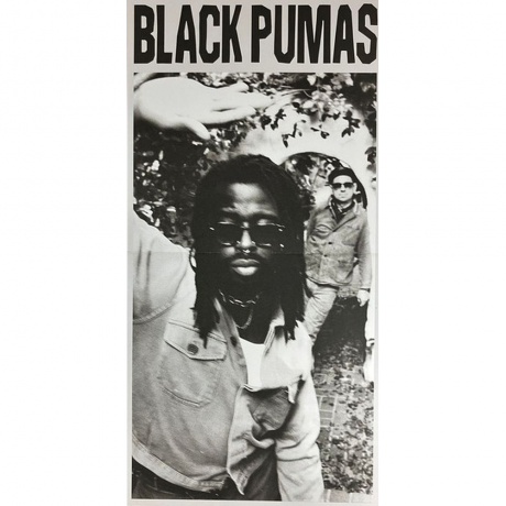 Black Pumas - Chronicles Of A Diamond (coloured) (5400863146160) виниловая пластинка - фото 8