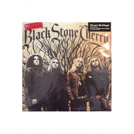 8719262022799, Black Stone Cherry, Black Stone Cherry виниловая ...