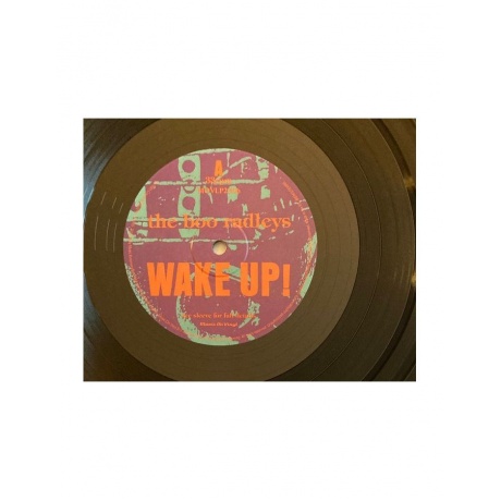 8719262013308, Виниловая пластинка Boo Radleys, The, Wake Up! - фото 6