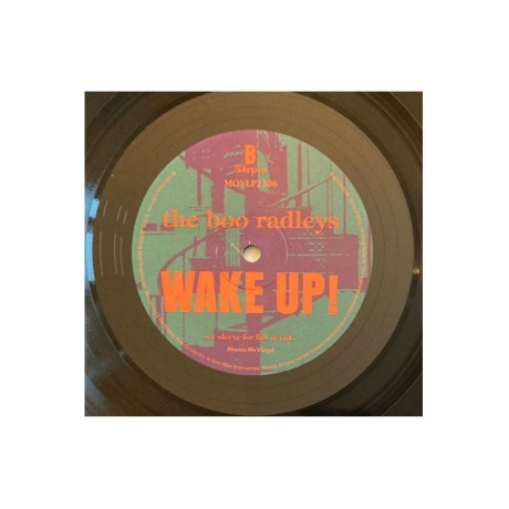 8719262013308, Виниловая пластинка Boo Radleys, The, Wake Up! - фото 7