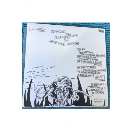 The Tryp - My Brain Collapsed!! (5060672880817) виниловая пластинка - фото 3