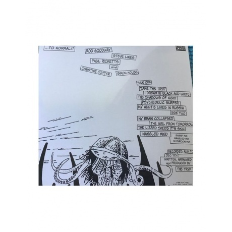 The Tryp - My Brain Collapsed!! (5060672880817) виниловая пластинка - фото 4