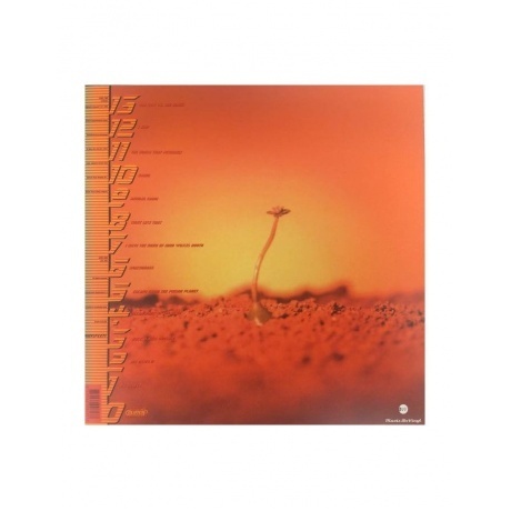 Clutch - Clutch (8719262008137) виниловая пластинка - фото 2