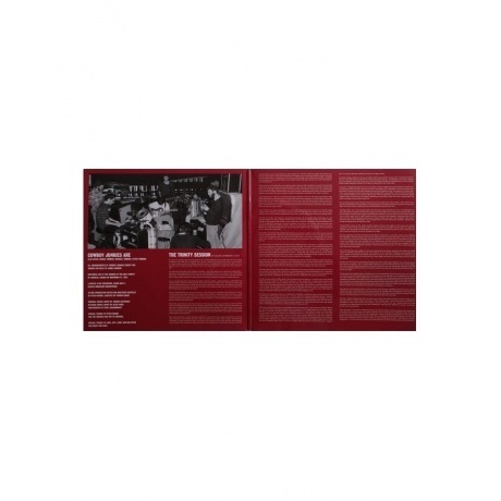 Cowboy Junkies - The Trinity Session (8718469535606) виниловая пластинка - фото 3