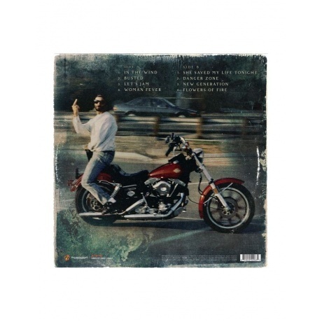 0810020509632, Vai, Steve, Vai/Gash виниловая пластинка - фото 2