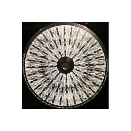 Crippled Black Phoenix - The Resurrectionists (0802644891613) виниловая пластинка - фото 3