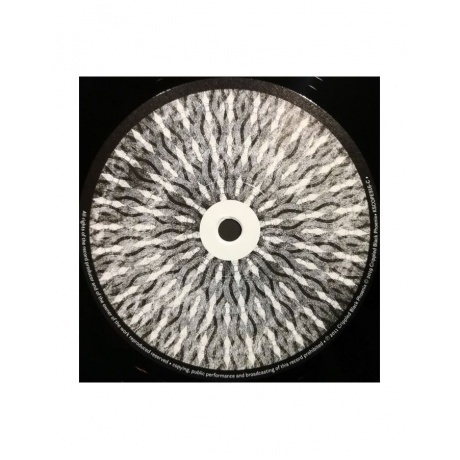 Crippled Black Phoenix - The Resurrectionists (0802644891613) виниловая пластинка - фото 5