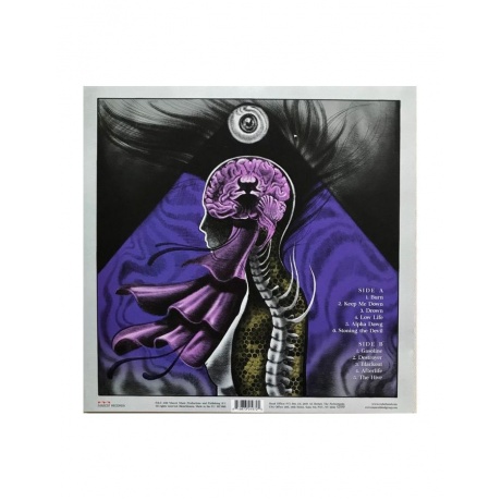 0819873019725, Виниловая пластинка Crobot, Motherbrain (coloured) - фото 2
