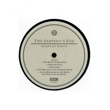 Dead Can Dance - The Serpent's Egg (0652637363814) виниловая пластинка - фото 3