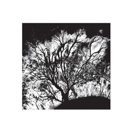 Dead Can Dance - The Serpent's Egg (0652637363814) виниловая пластинка - фото 5