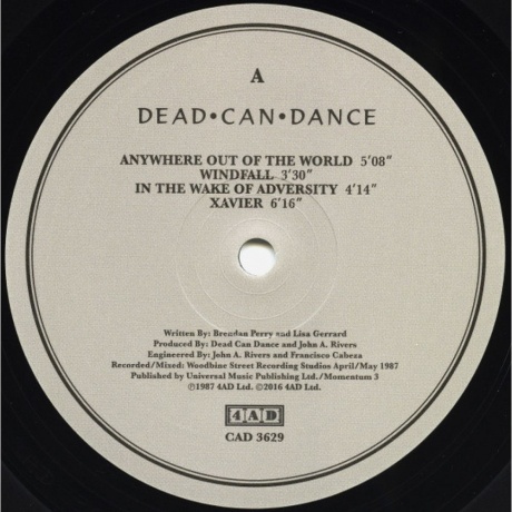 Dead Can Dance - Within The Realm Of A Dying Sun (0652637362916) виниловая пластинка - фото 3