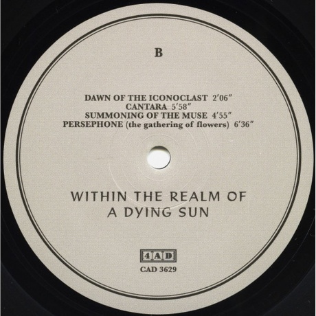 Dead Can Dance - Within The Realm Of A Dying Sun (0652637362916) виниловая пластинка - фото 4