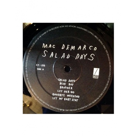 0817949019471, Виниловая пластинка DeMarco, Mac, Salad Days - фото 4