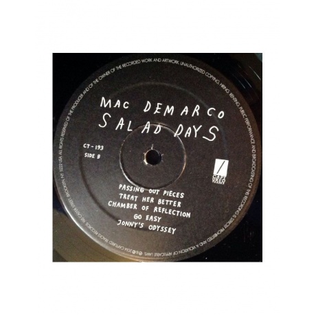 0817949019471, Виниловая пластинка DeMarco, Mac, Salad Days - фото 5