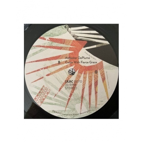 Alabaster DePlume - Come With Fierce Grace (0789993993703) виниловая пластинка - фото 4
