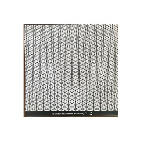 Alabaster DePlume - Come With Fierce Grace (0789993993703) виниловая пластинка - фото 7