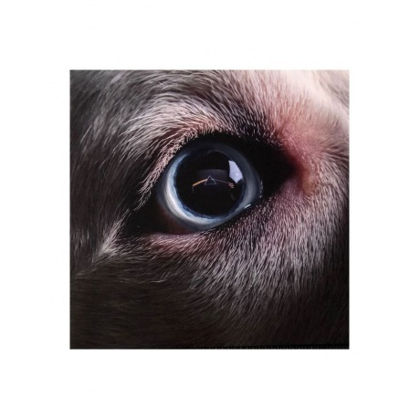 

Roger Waters - The Dark Side Of The Moon Redux (0711297395716) виниловая пластинка