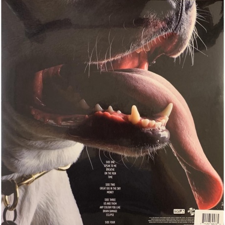 Roger Waters - The Dark Side Of The Moon Redux (coloured) (0711297395785) виниловая пластинка - фото 2