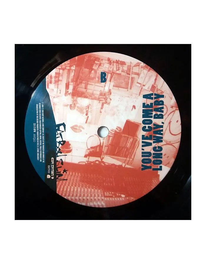 4050538919004, Виниловая пластинка Fatboy Slim, You've Come a Long Way, Baby - фото 5