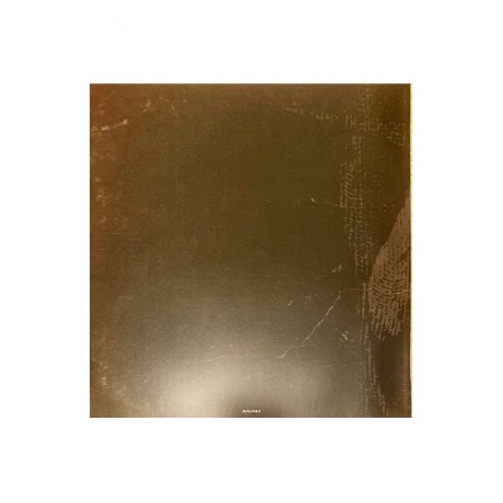 Within Temptation - Bleed Out (alternative cover) (8719262032279) виниловая пластинка - фото 4