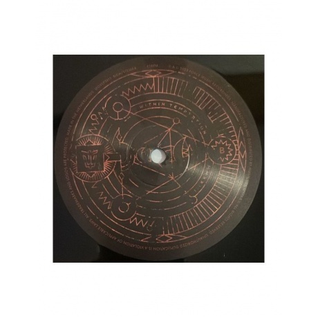 Within Temptation - Bleed Out (alternative cover) (8719262032279) виниловая пластинка - фото 8