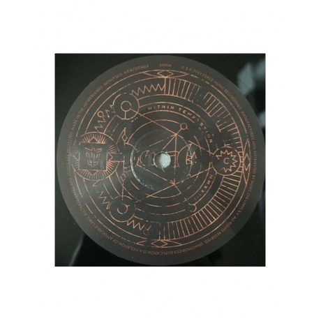 Within Temptation - Bleed Out (alternative cover) (8719262032279) виниловая пластинка - фото 9