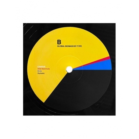 Flume - Palaces (5400863077853) виниловая пластинка - фото 4