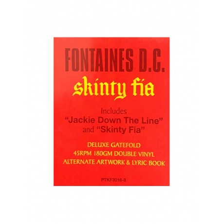 0720841301684, Виниловая пластинка Fontaines D.C., Skinty Fia - фото 16