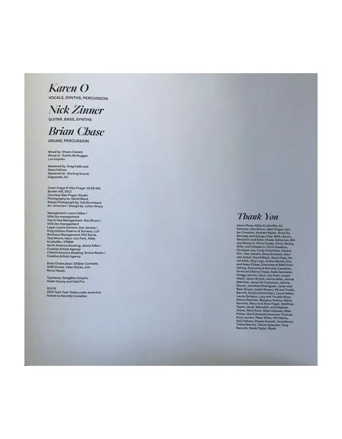 0656605047010, Виниловая пластинка Yeah Yeah Yeahs, Cool It Down - фото 12