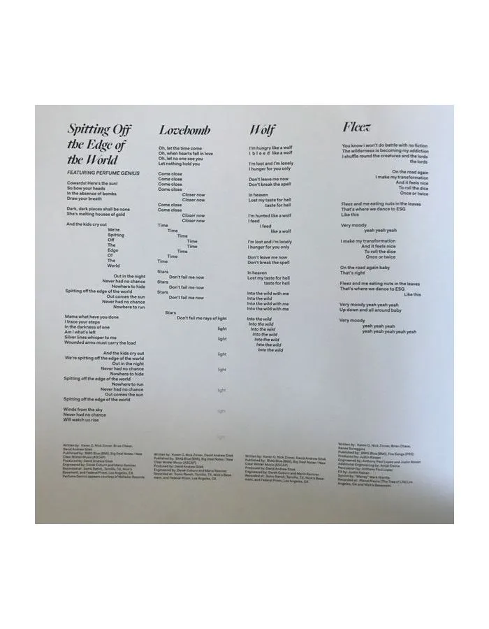 0656605047010, Виниловая пластинка Yeah Yeah Yeahs, Cool It Down - фото 7