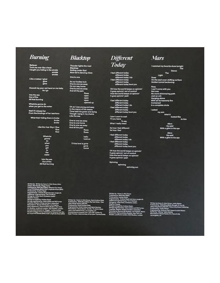 0656605047010, Виниловая пластинка Yeah Yeah Yeahs, Cool It Down - фото 8